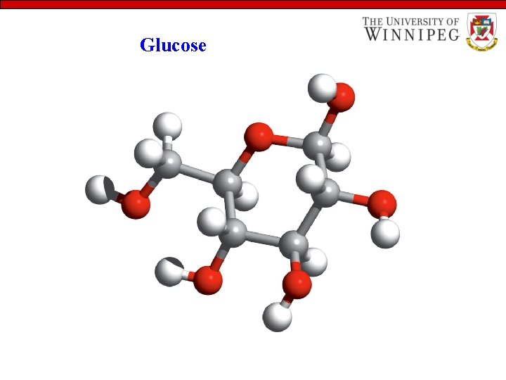 Glucose 