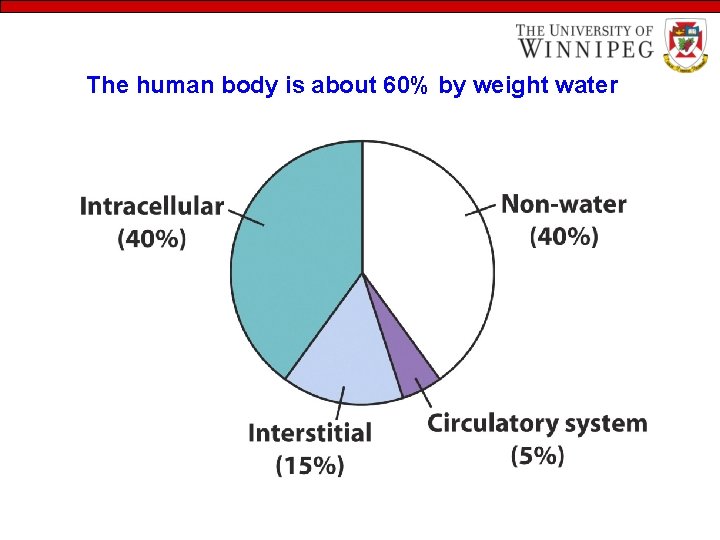 The human body is about 60% by weight water 