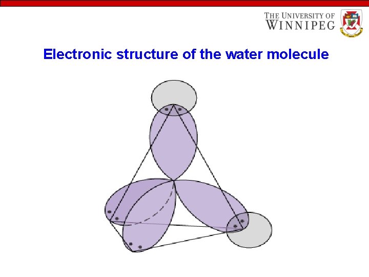 Electronic structure of the water molecule 