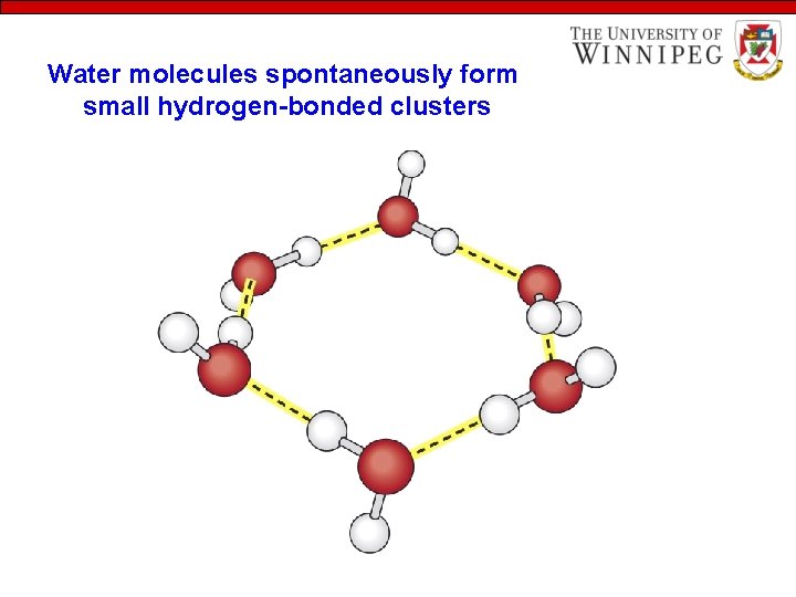 Water molecules spontaneously form small hydrogen-bonded clusters 
