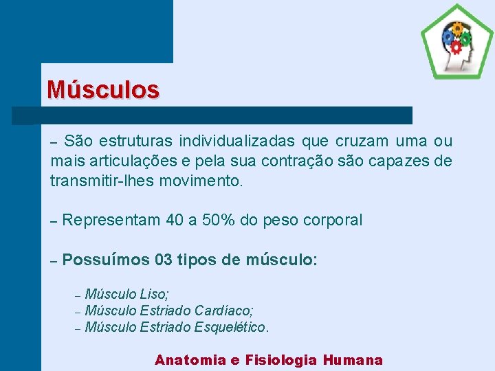 Músculos São estruturas individualizadas que cruzam uma ou mais articulações e pela sua contração