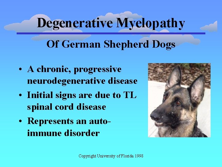 Degenerative Myelopathy Of German Shepherd Dogs • A chronic, progressive neurodegenerative disease • Initial