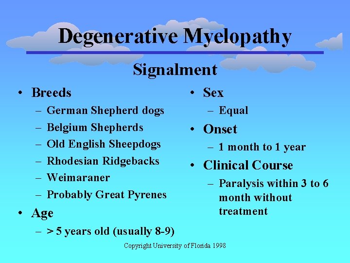 Degenerative Myelopathy Signalment • Breeds – – – • Sex German Shepherd dogs Belgium