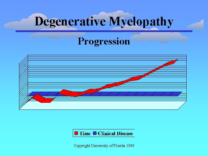 Degenerative Myelopathy Progression Copyright University of Florida 1998 