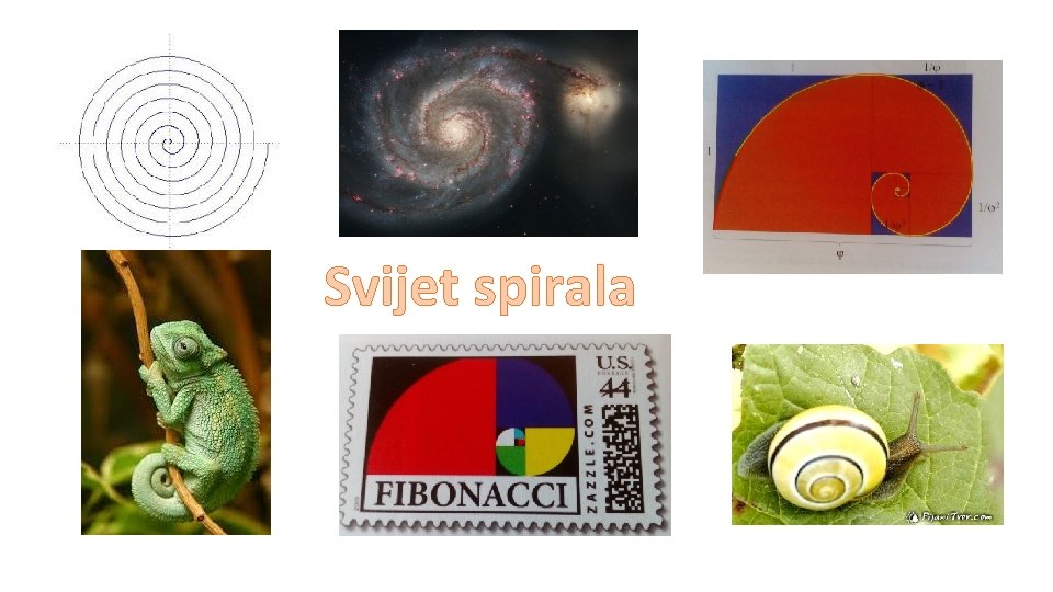 Svijet spirala 