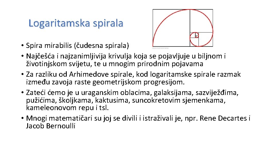 Logaritamska spirala • Spira mirabilis (čudesna spirala) • Najčešća i najzanimljivija krivulja koja se
