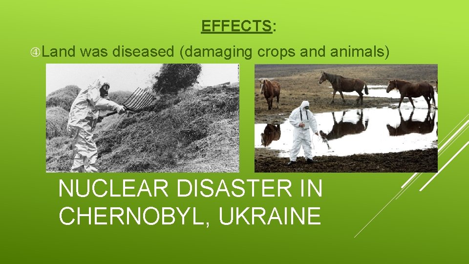 EFFECTS: Land was diseased (damaging crops and animals) NUCLEAR DISASTER IN CHERNOBYL, UKRAINE 