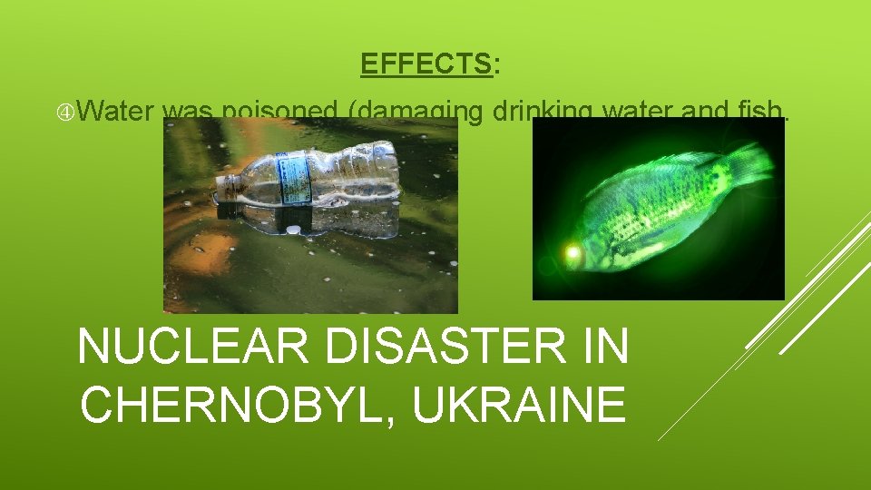 EFFECTS: Water was poisoned (damaging drinking water and fish. NUCLEAR DISASTER IN CHERNOBYL, UKRAINE