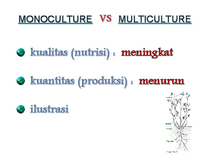 MONOCULTURE vs MULTICULTURE kualitas (nutrisi) : meningkat kuantitas (produksi) : menurun ilustrasi 