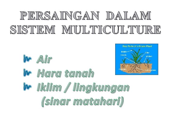 PERSAINGAN DALAM SISTEM MULTICULTURE Air Hara tanah Iklim / lingkungan (sinar matahari) 