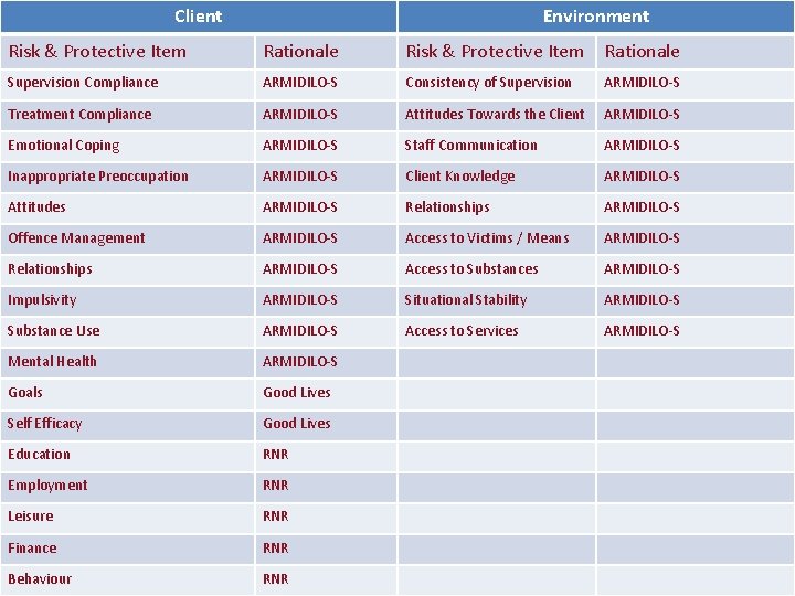 Client Environment Risk & Protective Item Rationale Supervision Compliance ARMIDILO-S Consistency of Supervision ARMIDILO-S