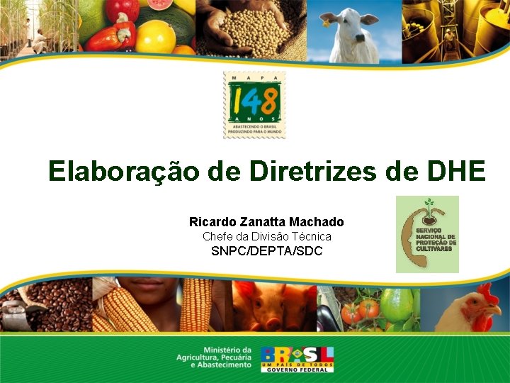  Elaboração de Diretrizes de DHE Ricardo Zanatta Machado Chefe da Divisão Técnica SNPC/DEPTA/SDC