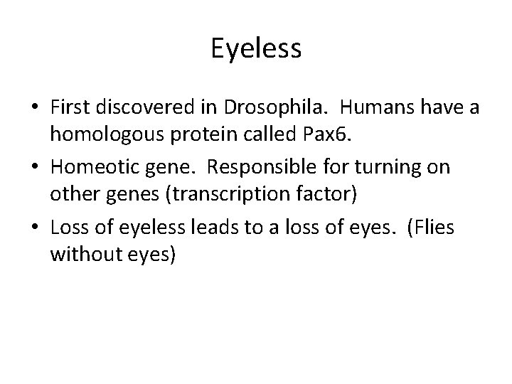 Eyeless • First discovered in Drosophila. Humans have a homologous protein called Pax 6.
