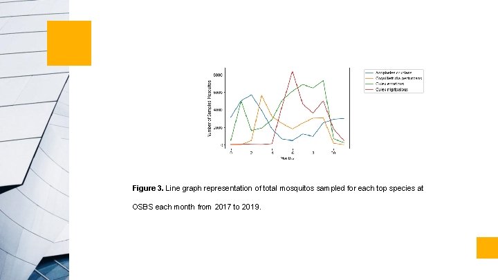 Figure 3. Line graph representation of total mosquitos sampled for each top species at Figure 3. Line graph representation of total mosquitos sampled for each top species at