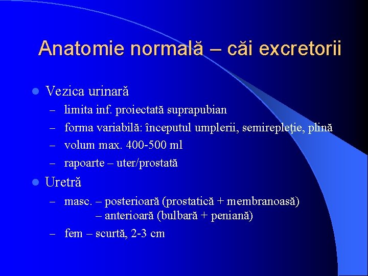 Anatomie normală – căi excretorii l Vezica urinară – limita inf. proiectată suprapubian –