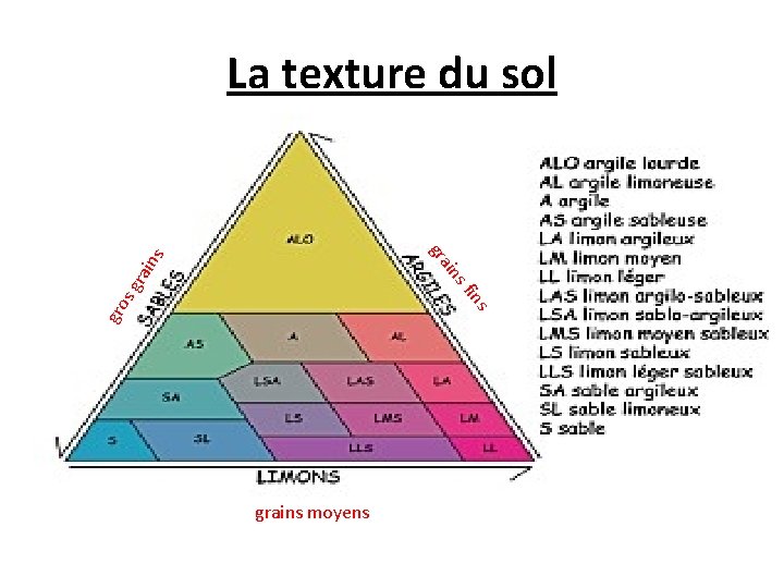La texture du sol gro sg ins sf ain rai ns gr grains moyens