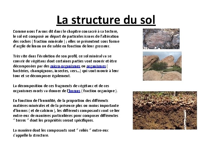 La structure du sol Comme nous l’avons dit dans le chapitre consacré à sa
