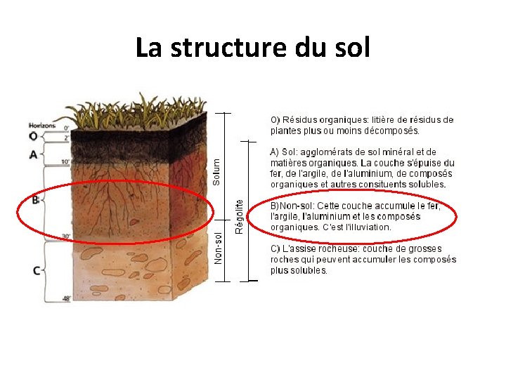 La structure du sol 