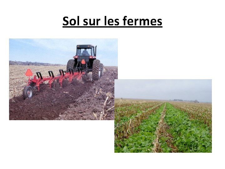 Sol sur les fermes 