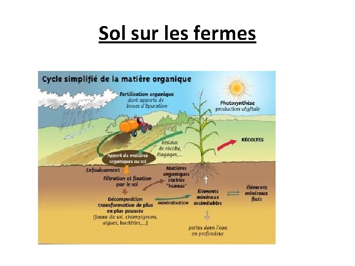 Sol sur les fermes 