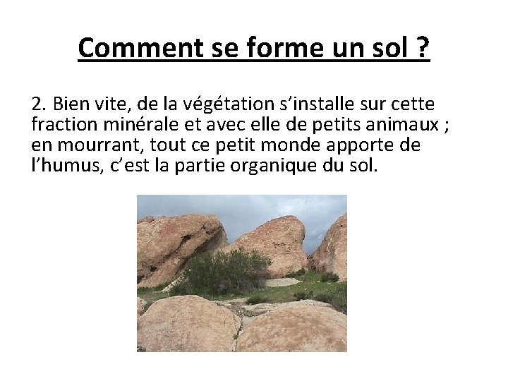 Comment se forme un sol ? 2. Bien vite, de la végétation s’installe sur