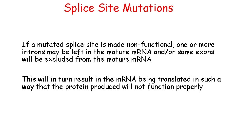 Splice Site Mutations If a mutated splice site is made non-functional, one or more