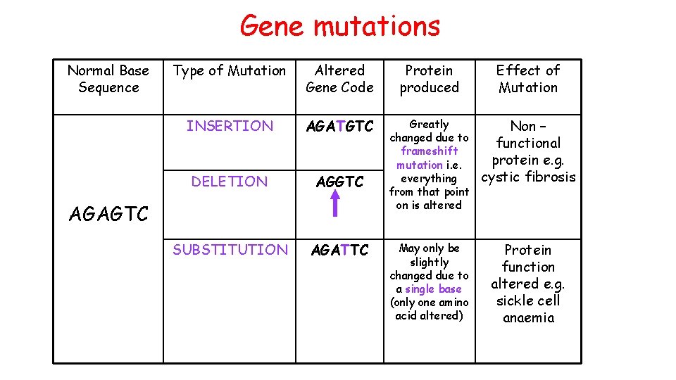 Gene mutations Normal Base Sequence Type of Mutation Altered Gene Code Protein produced Effect