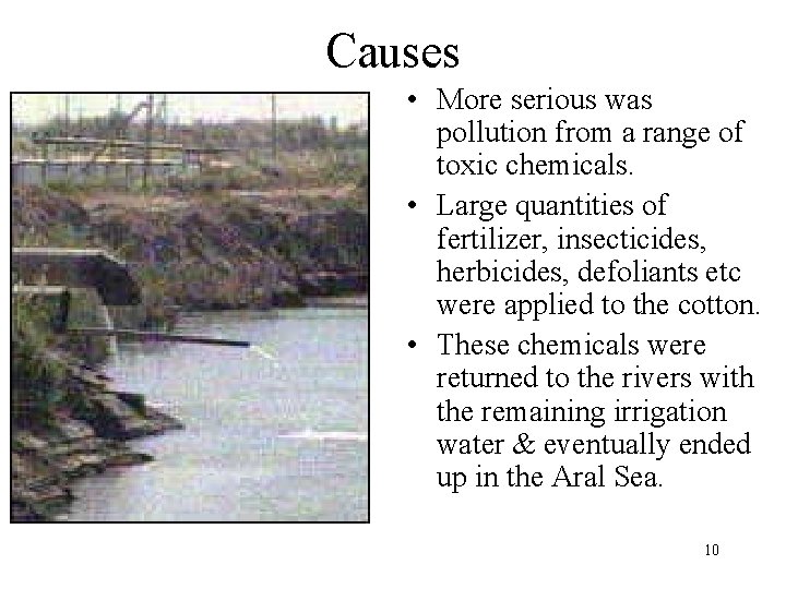 Causes • More serious was pollution from a range of toxic chemicals. • Large