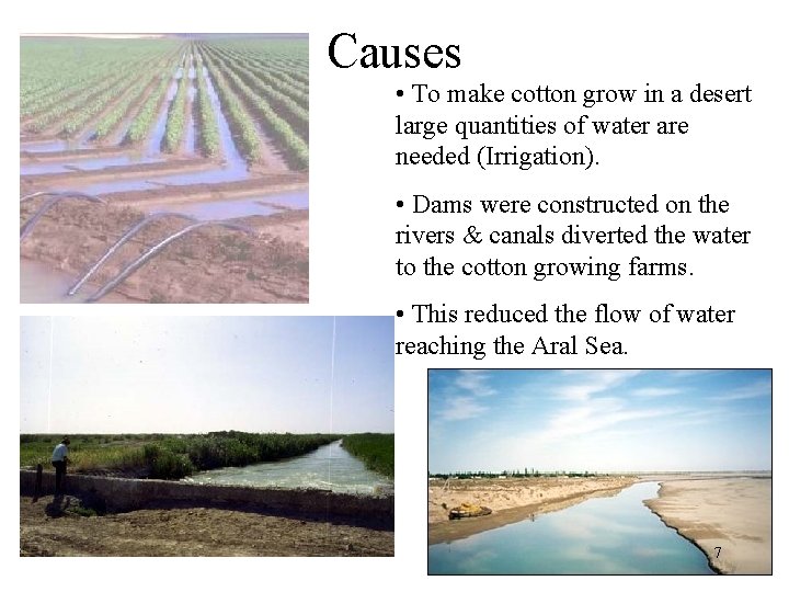 Causes • To make cotton grow in a desert large quantities of water are