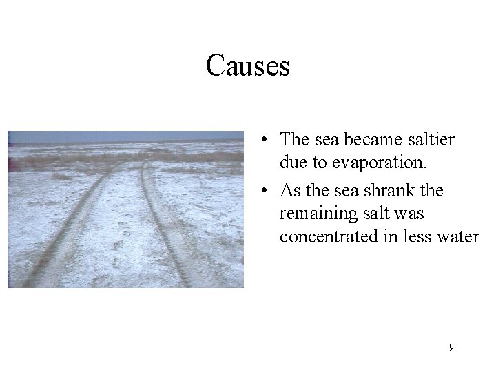 Causes • The sea became saltier due to evaporation. • As the sea shrank