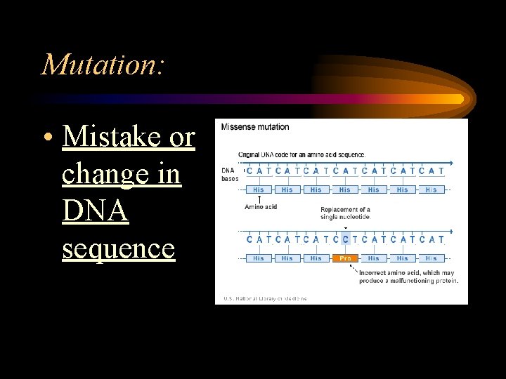 Mutation: • Mistake or change in DNA sequence Mutation: • Mistake or change in DNA sequence