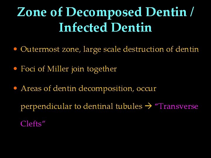 Zone of Decomposed Dentin / Infected Dentin • Outermost zone, large scale destruction of