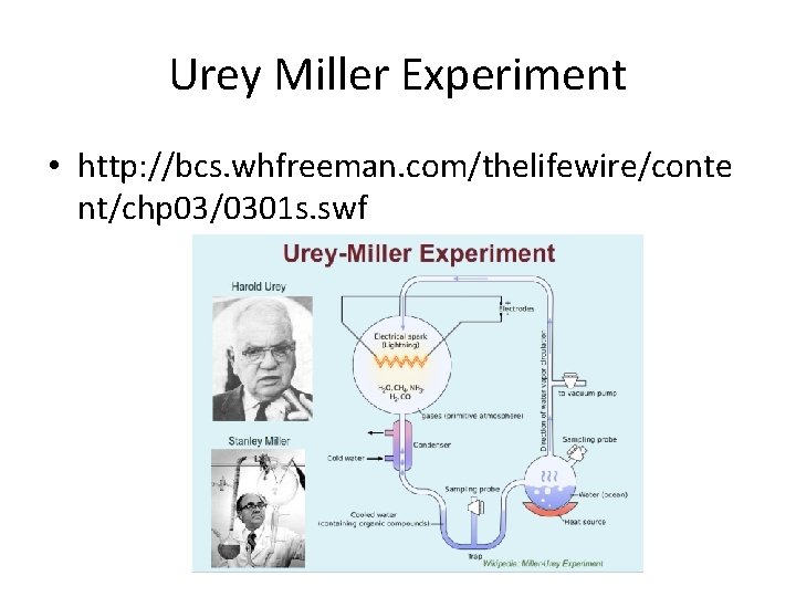 Urey Miller Experiment • http: //bcs. whfreeman. com/thelifewire/conte nt/chp 03/0301 s. swf Urey Miller Experiment • http: //bcs. whfreeman. com/thelifewire/conte nt/chp 03/0301 s. swf