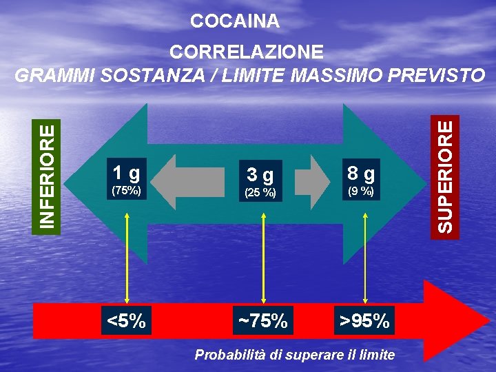 COCAINA 1 g 3 g (75%) (25 %) <5% ~75% 8 g (9 %)