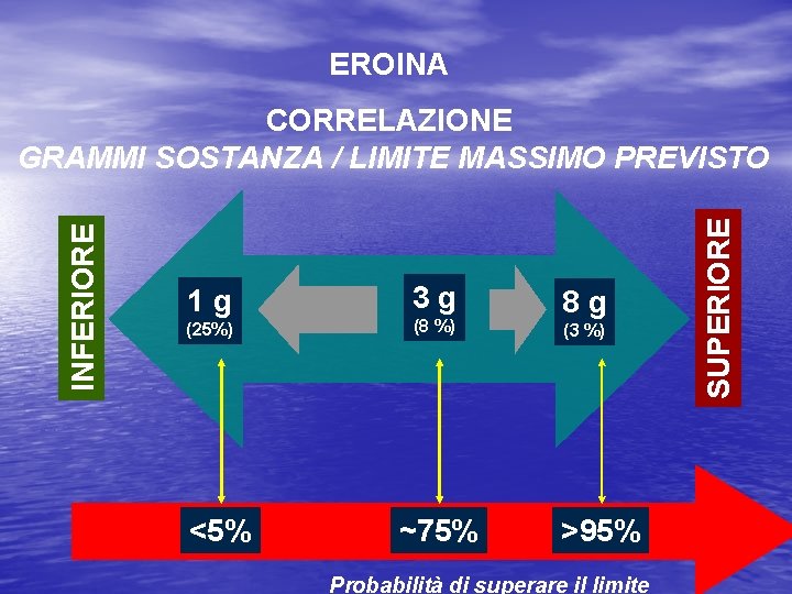 EROINA 1 g (25%) <5% 3 g (8 %) ~75% 8 g (3 %)