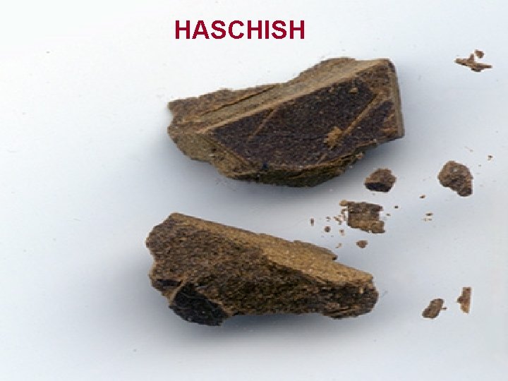 HASCHISH 