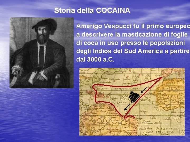 Storia della COCAINA Amerigo Vespucci fu il primo europeo a descrivere la masticazione di