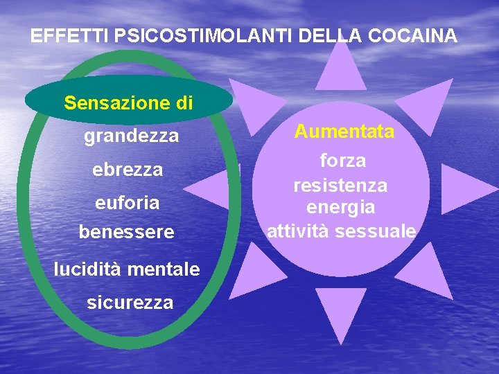 EFFETTI PSICOSTIMOLANTI DELLA COCAINA Sensazione di grandezza ebrezza euforia benessere lucidità mentale sicurezza Aumentata