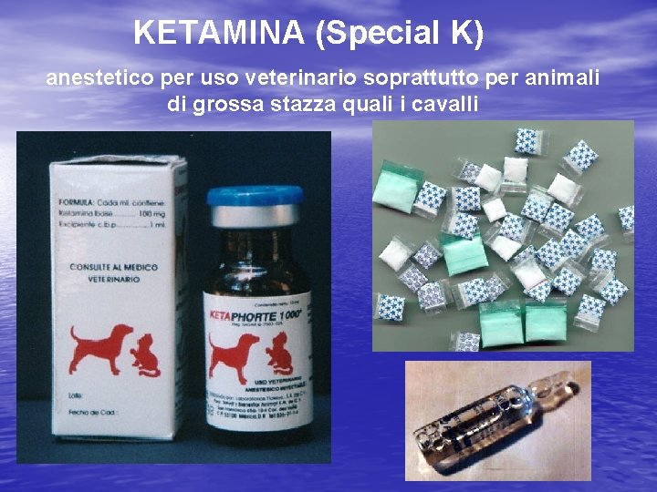 KETAMINA (Special K) anestetico per uso veterinario soprattutto per animali di grossa stazza quali