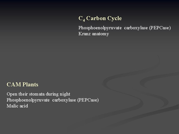 C 4 Carbon Cycle Phosphoenolpyruvate carboxylase (PEPCase) Kranz anatomy CAM Plants Open their stomata
