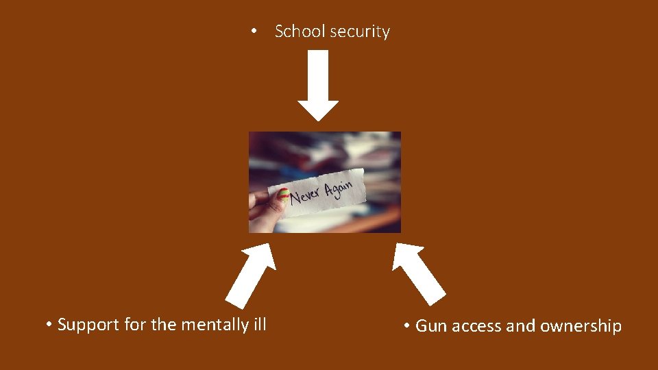  • School security • Support for the mentally ill • Gun access and