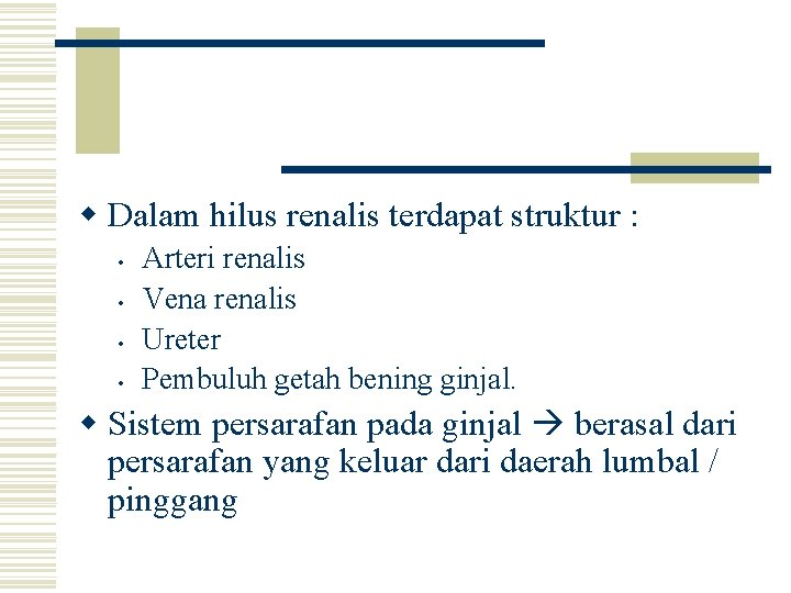 w Dalam hilus renalis terdapat struktur : • • Arteri renalis Vena renalis Ureter