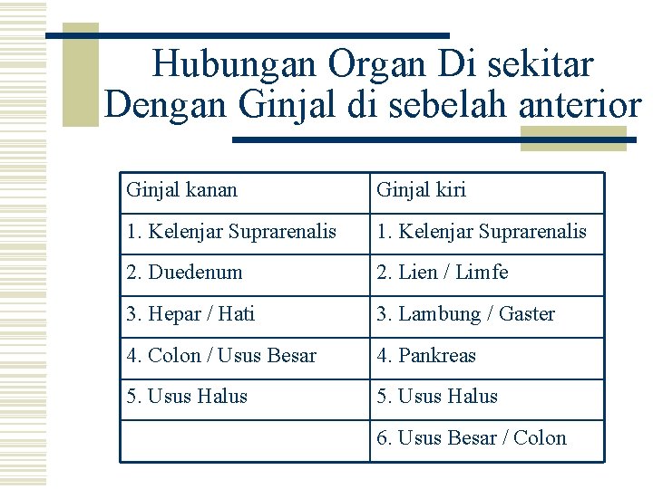 Hubungan Organ Di sekitar Dengan Ginjal di sebelah anterior Ginjal kanan Ginjal kiri 1.