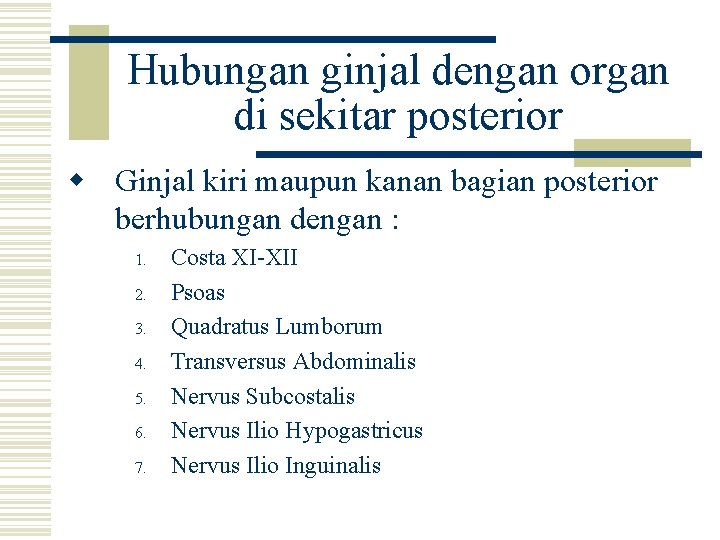 Hubungan ginjal dengan organ di sekitar posterior w Ginjal kiri maupun kanan bagian posterior