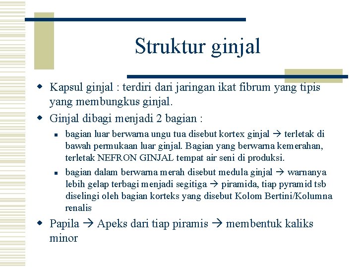 Struktur ginjal w Kapsul ginjal : terdiri dari jaringan ikat fibrum yang tipis yang