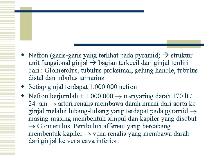 w Nefron (garis-garis yang terlihat pada pyramid) struktur unit fungsional ginjal bagian terkecil dari