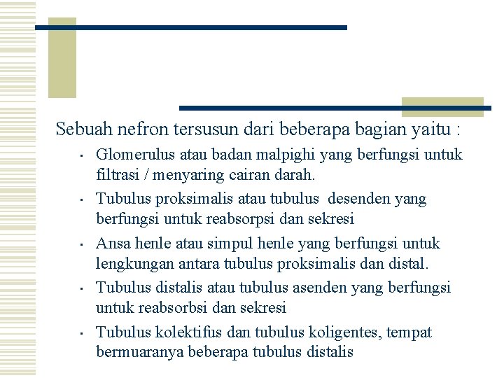 Sebuah nefron tersusun dari beberapa bagian yaitu : • • • Glomerulus atau badan