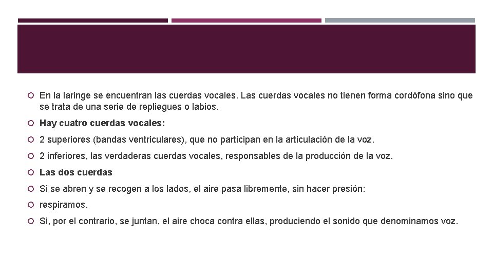 En la laringe se encuentran las cuerdas vocales. Las cuerdas vocales no tienen En la laringe se encuentran las cuerdas vocales. Las cuerdas vocales no tienen