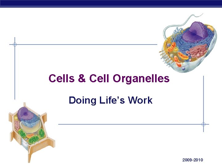 Cells & Cell Organelles Doing Life’s Work AP Biology 2009 -2010 