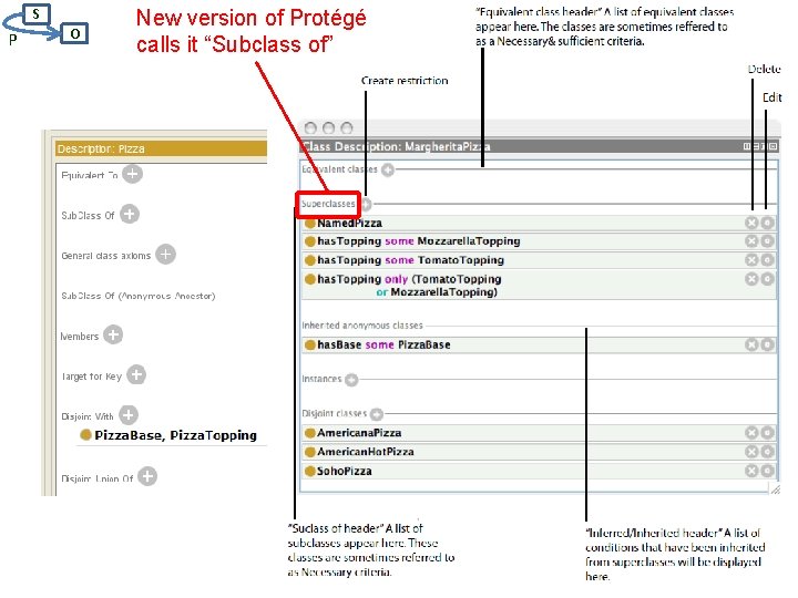 S P O New version of Protégé calls it “Subclass of” 